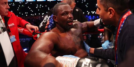 Dillian Whyte thinks he should have been allowed to carry on against Tyson Fury