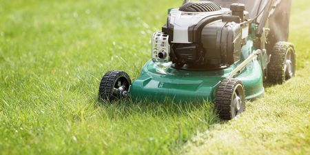 People are being told to not cut their grass in May for a good cause