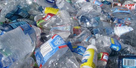 Engineers develop an enzyme that can break down plastic in hours not centuries