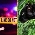 Teen shot dead by boyfriend after being mistaken for a panther in prank gone wrong