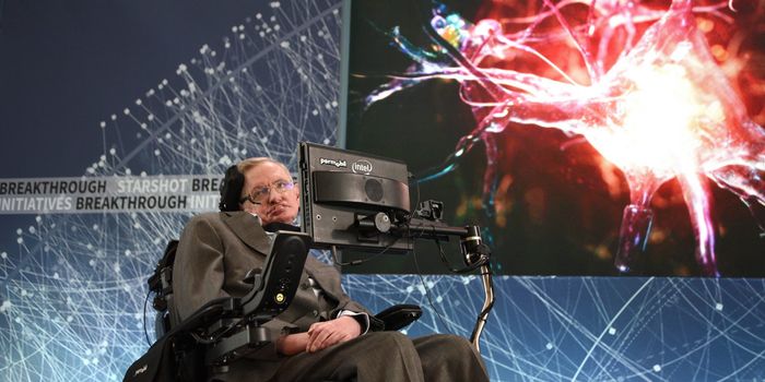 Stephen Hawking final research paper