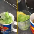 Genius lettuce hack ‘puts people to sleep in seconds’ – and people swear by it