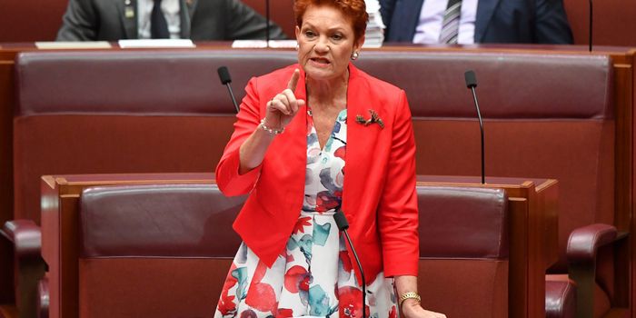 Pauline Hanson calls for paedophiles to be chemically castrated