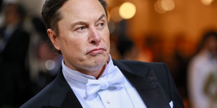 Elon Musk says we can't let humanity end in 'adult diapers'