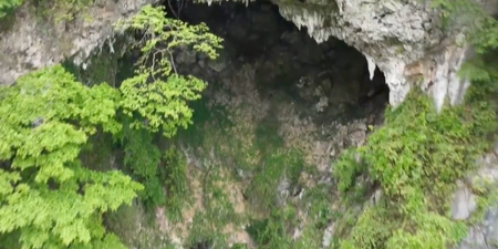 Secret sinkhole in China reveals ancient hidden forest with possible ‘new species’, scientist say