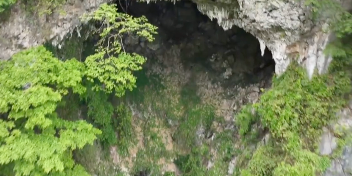 hidden forest inside a sinkhole in China