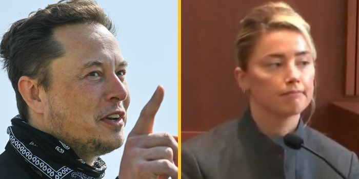 Charity CEO claims $250,000 Amber Heard donation came from elon Musk