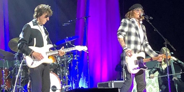 Johnny Depp in Sheffield Jeff Beck gig