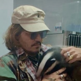 Johnny Depp pictured holding orphaned badger at rescue centre after defamation win