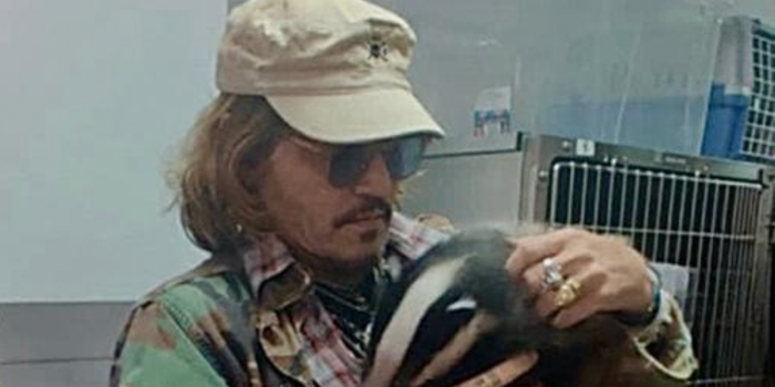 Johnny Depp holds orphaned badger
