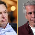 Elon Musk says what everyone is thinking about Jeffrey Epstein’s mysterious client list