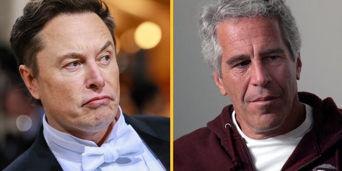 Elon Musk asks about Epstein client list