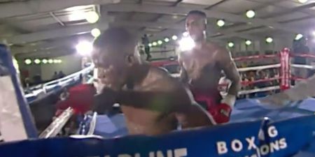 Boxer taken to hospital after punching invisible opponent during title fight