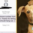 Woman details how ‘super creepy’ man texted her after taking phone number from her dog’s collar at park