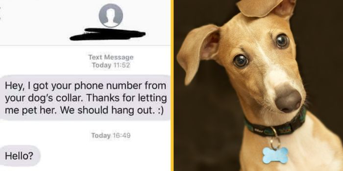 'Creepy' man gets woman's number from dog collar