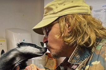 Johnny Depp wears Hillsborough badge on visit to wildlife sanctuary