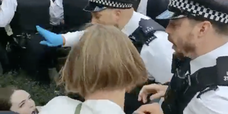 Woman ‘thrown to the ground’ and ‘stamped on’ by police as protestors stop immigration raid