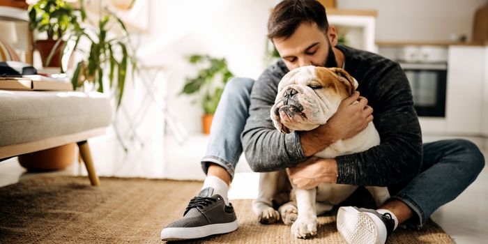 Landlords forced to consider tenants with pets