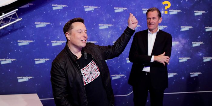 Elon Musk's staff label his 'embarrassing'