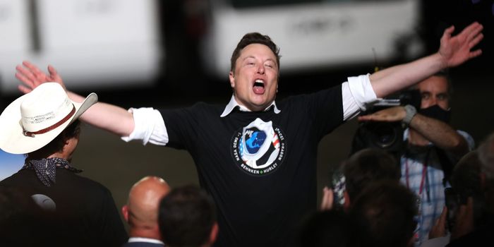 SpaceX staff call Elon Musk an 'embarrassment'