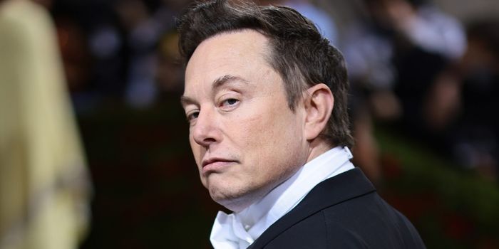 Elon Musk's daughter disowning him