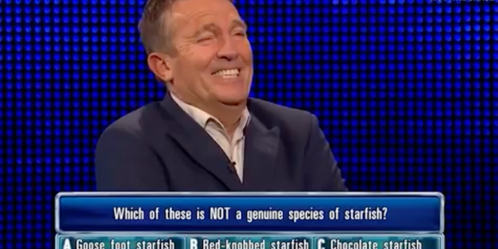 Bradley Walsh laughs at answer on the Chase