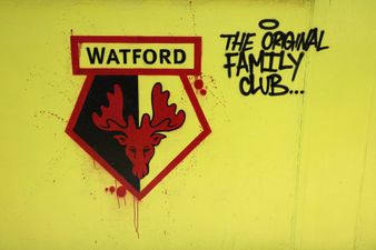 Watford fan groups criticise club after organising Qatar friendly