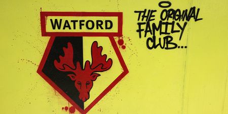 Watford cancel Qatar friendly amid backlash from fans’ group