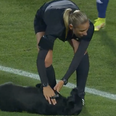 Dog interrupts international football match – insists on belly rubs