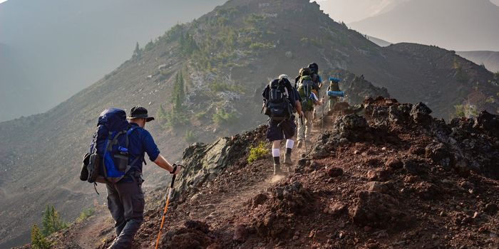 Group walking on mountain