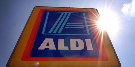 Aldi is selling a pet sun bed just in time for the heatwave