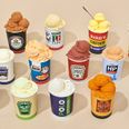 Ice cream shop opens selling PG Tips, Frosties and HP Sauce flavours