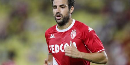 Cesc Fabregas agrees to sign for Italian second-tier club