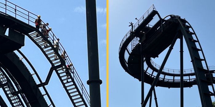 Alton Towers ride Oblivion stops at top