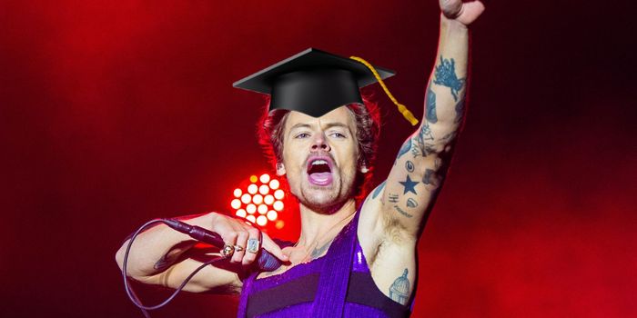 College class on Harry Styles