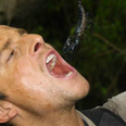 Former vegan Bear Grylls says he is now ‘against vegetables’ and largely eats meat