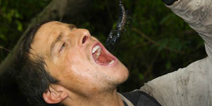 Former vegan Bear Grylls says he is now 'against vegetables' and largely eats  meat