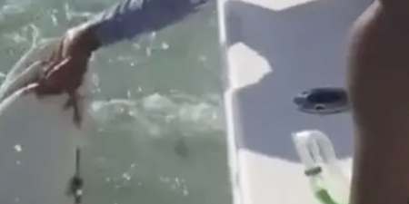 Fisherman fights shark as he tries to get his finger back- ‘I lost my goddamn pinky’