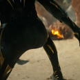 Marvel fans are convinced they have figured out who the next Black Panther is in new trailer