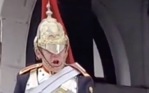 Queen's Guard screams at tourist