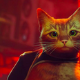 Game where you run around as a stray cat has become the highest-rated release of 2022