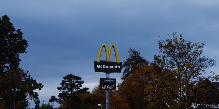 The McDonald's in question/Via Google Maps