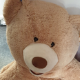 Police catch car thief after noticing giant teddy bear is breathing – and he’s hiding inside