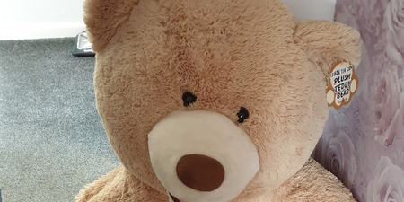 Police catch car thief after noticing giant teddy bear is breathing – and he’s hiding inside