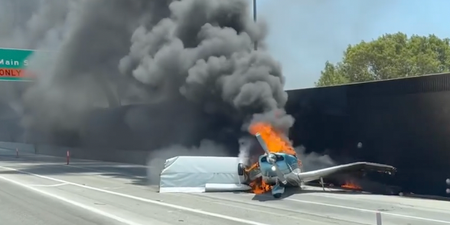 Unbelievable moment plane crash lands on California highway before bursting into flames