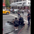 Onlookers watch in horror as carriage horse flogged by driver after collapsing on busy NY street