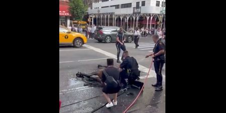 Onlookers watch in horror as carriage horse flogged by driver after collapsing on busy NY street