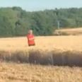 Angry local jumps in front of combine harvester to complain about his dusty sandwich