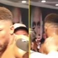 Security forced to intervene after Joshua antics continue backstage