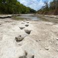 Dinosaur tracks discovered after 113 million years thanks to severe drought conditions
